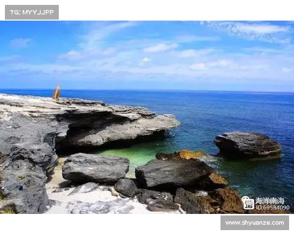 探索神秘岛屿的终极实用指南:揭开未知世界的面纱与生存技巧 探索神秘岛屿的终极实用指南:揭开未知世界的面纱与生存技巧