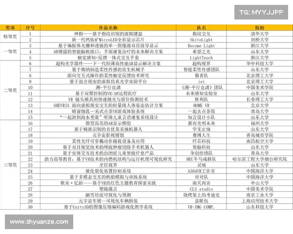 全面解析欧协杯决赛赛制与观赛实用指导深度详解权威手册全攻略指南