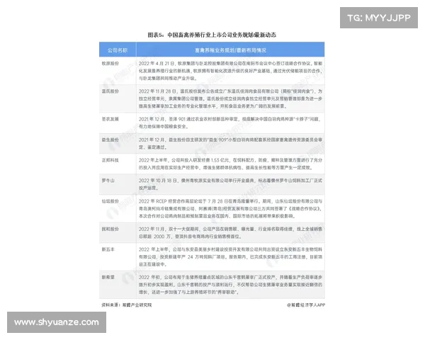 全面解读澳洲杯举办日期与赛事安排最新时间动态深度分析报告全景 全面解读澳洲杯举办日期与赛事安排最新时间动态深度分析报告全景
